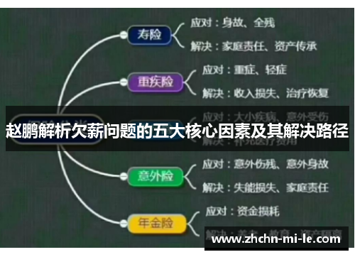 赵鹏解析欠薪问题的五大核心因素及其解决路径