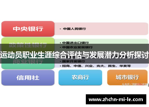 运动员职业生涯综合评估与发展潜力分析探讨