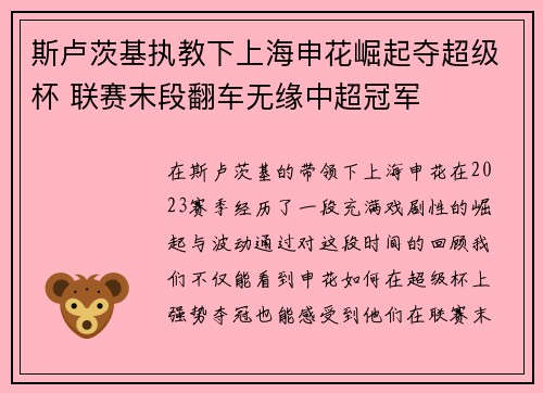 斯卢茨基执教下上海申花崛起夺超级杯 联赛末段翻车无缘中超冠军